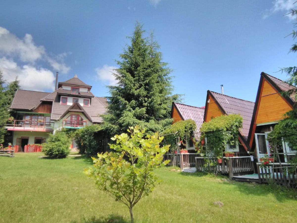 Casa Paltin Vila Si Cabane Poiana Stampei Kültér fotó