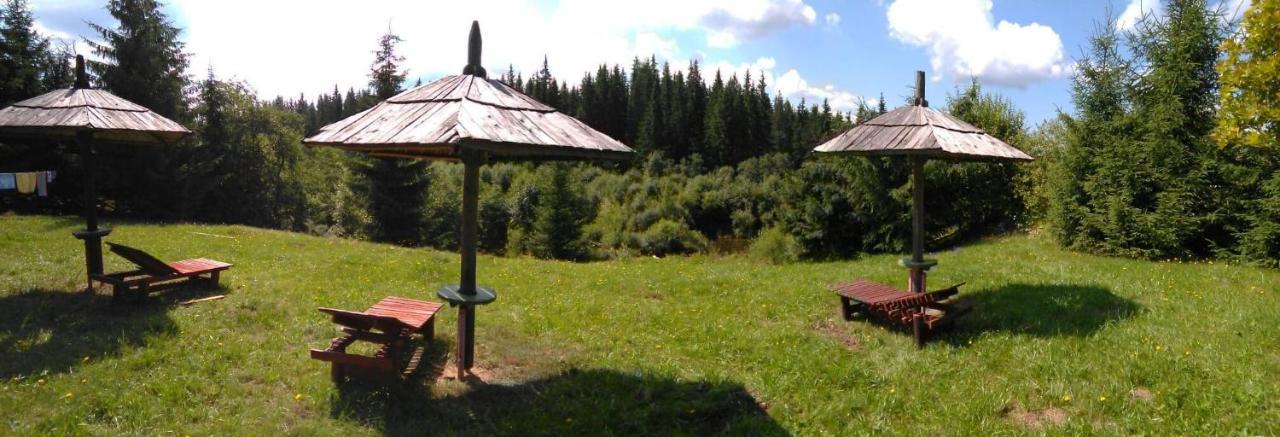 Casa Paltin Vila Si Cabane Poiana Stampei Kültér fotó