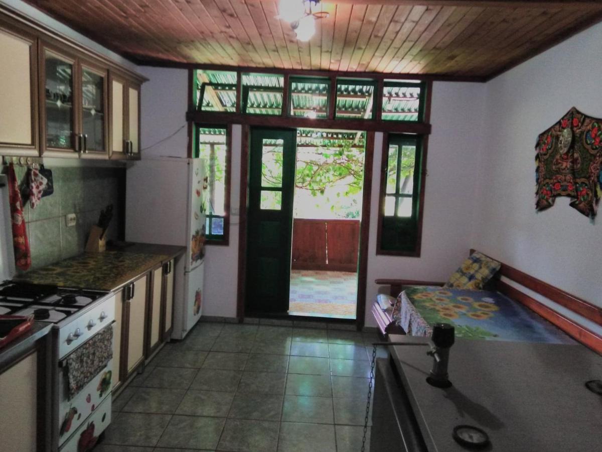 Casa Paltin Vila Si Cabane Poiana Stampei Kültér fotó