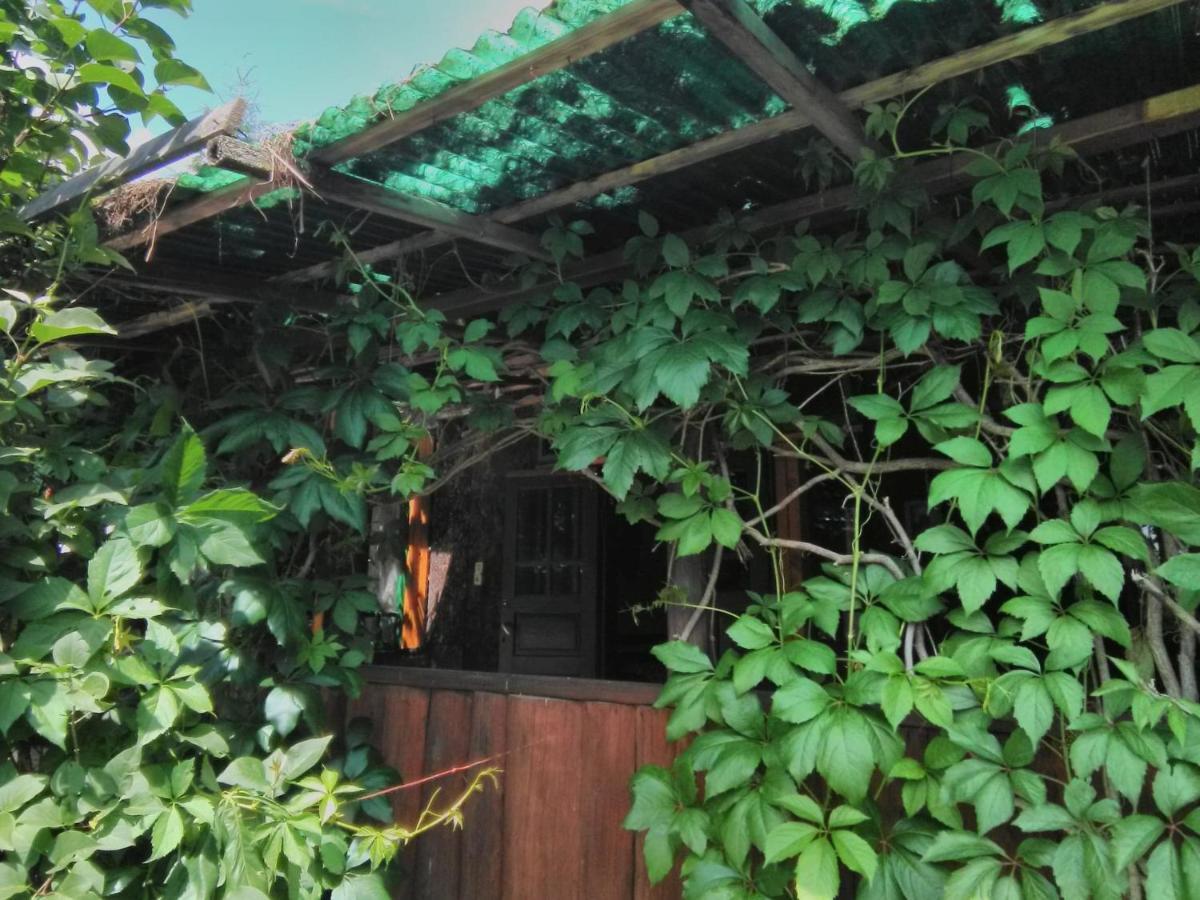Casa Paltin Vila Si Cabane Poiana Stampei Kültér fotó