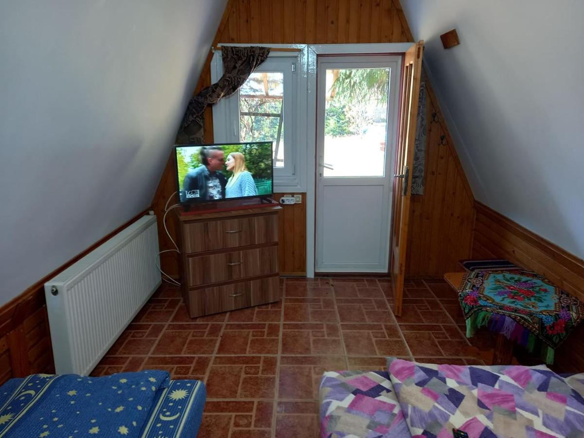 Casa Paltin Vila Si Cabane Poiana Stampei Kültér fotó