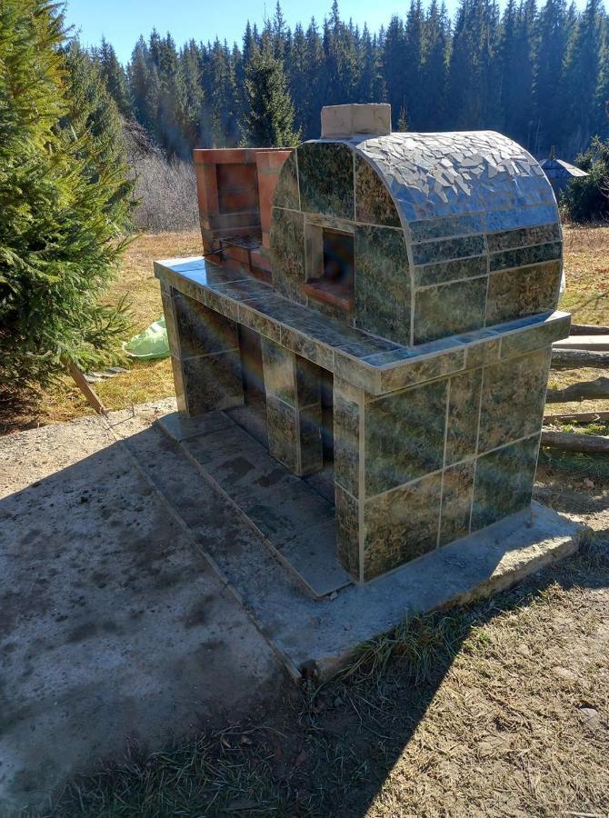 Casa Paltin Vila Si Cabane Poiana Stampei Kültér fotó