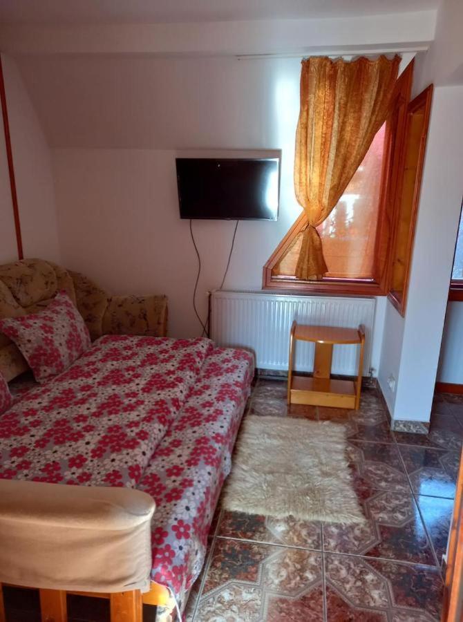 Casa Paltin Vila Si Cabane Poiana Stampei Kültér fotó